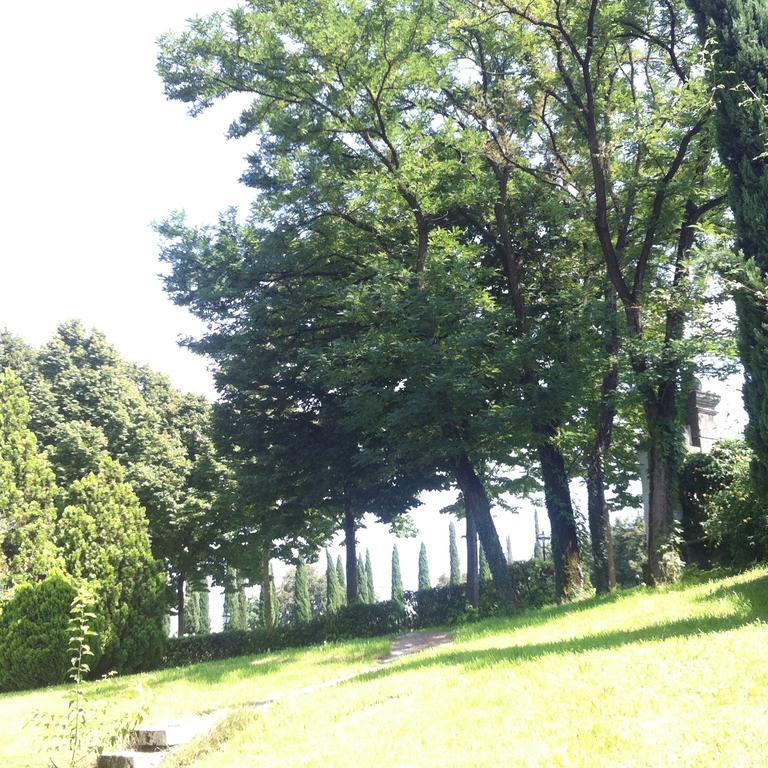 Relais Villa Gozzi B&B Arcugnano Exteriér fotografie