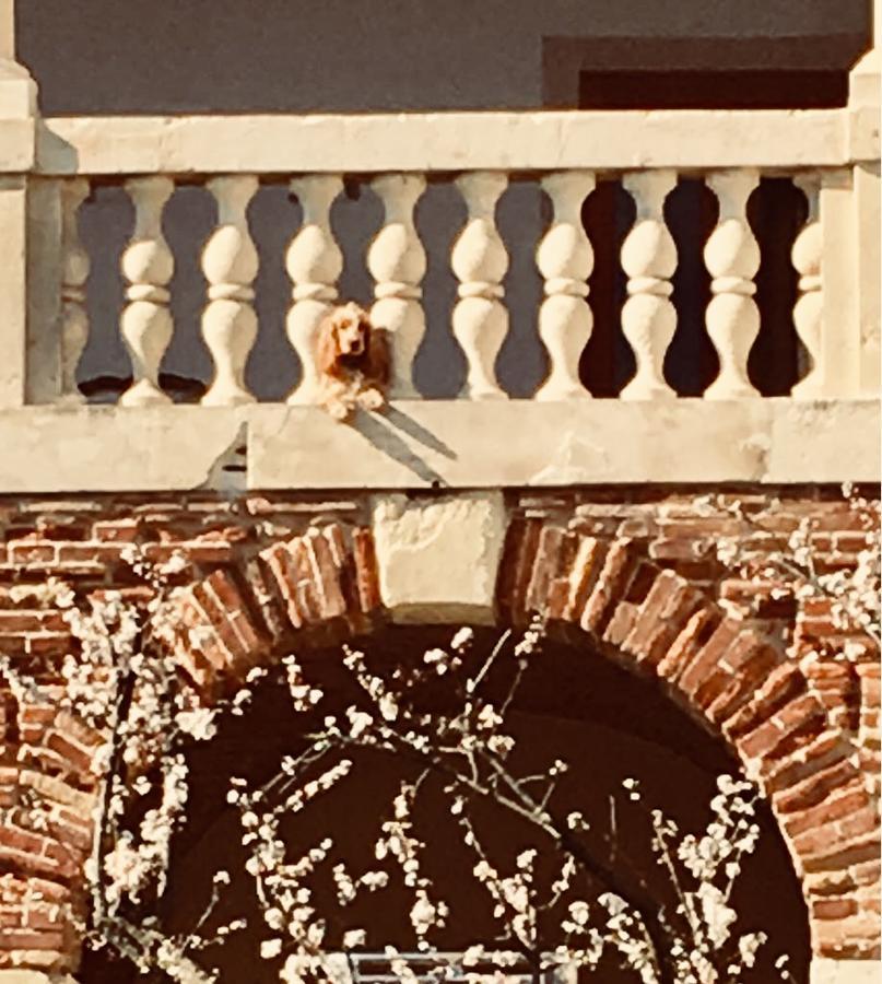 Relais Villa Gozzi B&B Arcugnano Exteriér fotografie